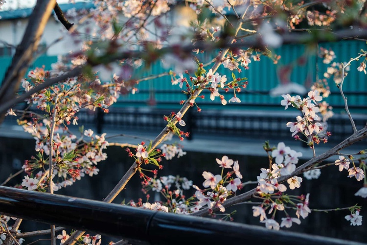 20220401-img_9374_sqsh50