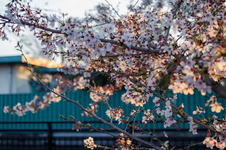 20220401-img_9375_sqsh50