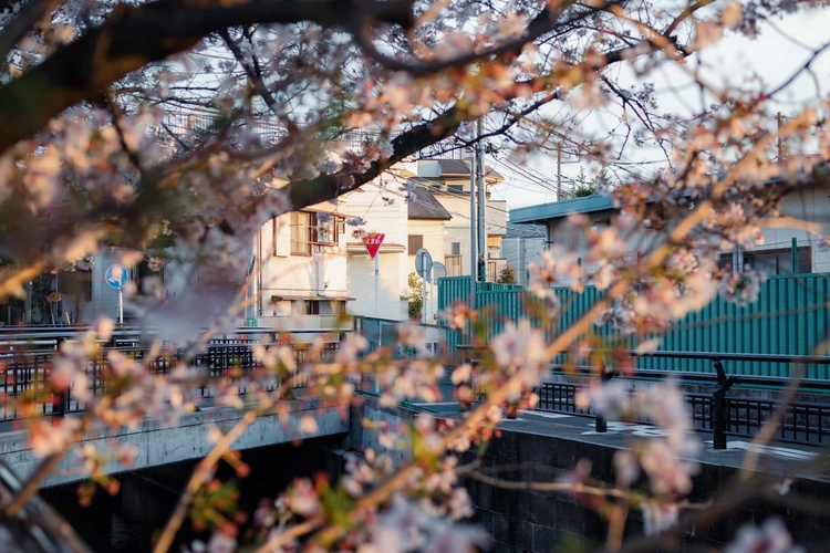 20220401-img_9377_sqsh50