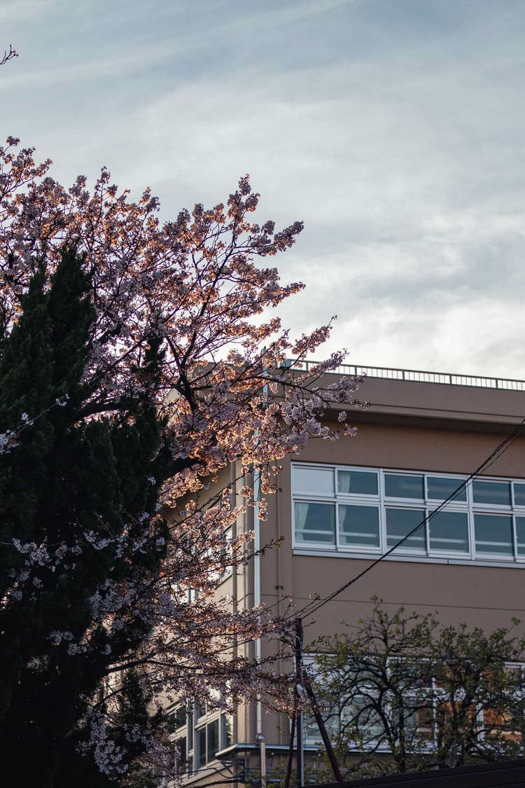 20220401-img_9378_sqsh50