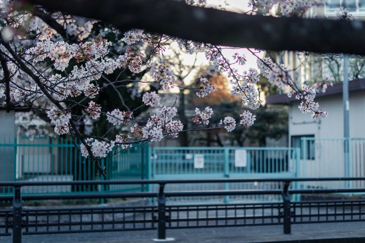 20220401-img_9379_sqsh50