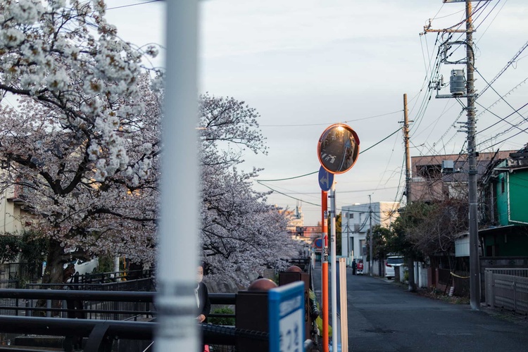 20220401-img_9384_sqsh50