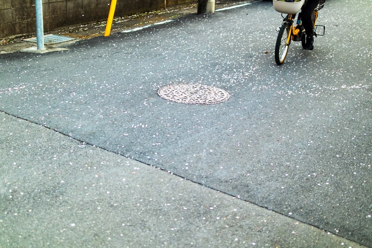 20220401-img_9392_sqsh50