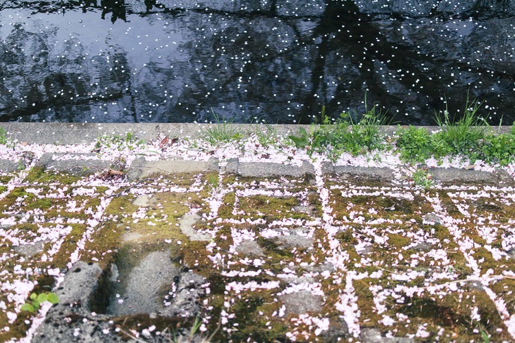 20220401-img_9394_sqsh50