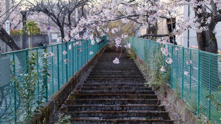 20220401-img_9395_sqsh50