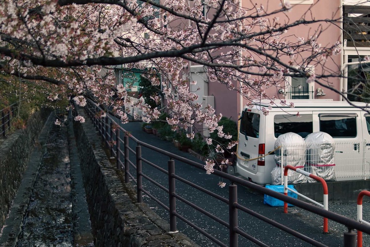 20220401-img_9397_sqsh50