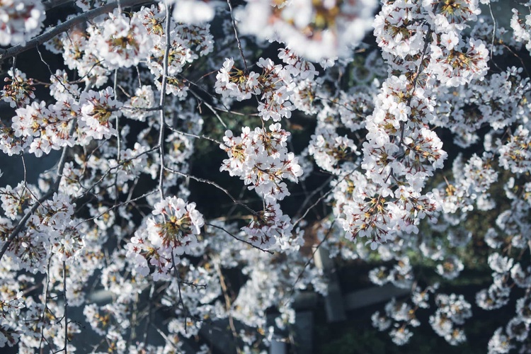 20220328-img_9256_sqsh50