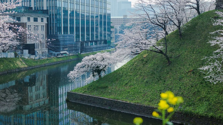 20220330-img_9261-2_sqsh50