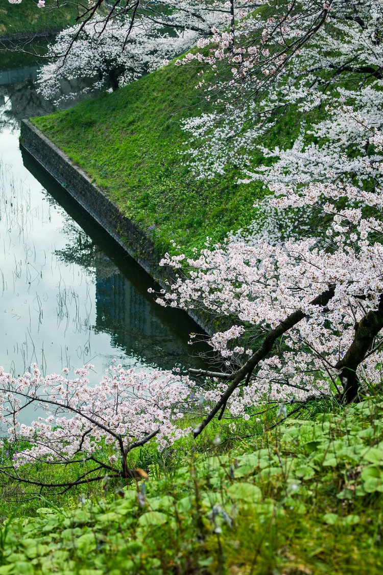 20220330-img_9263_sqsh50