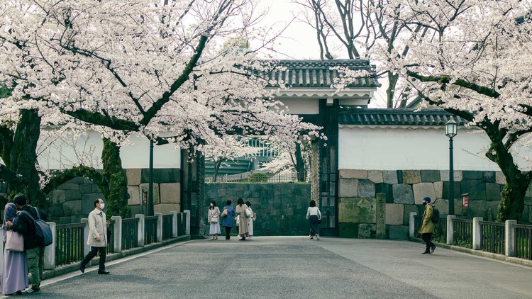 20220330-img_9264_sqsh50