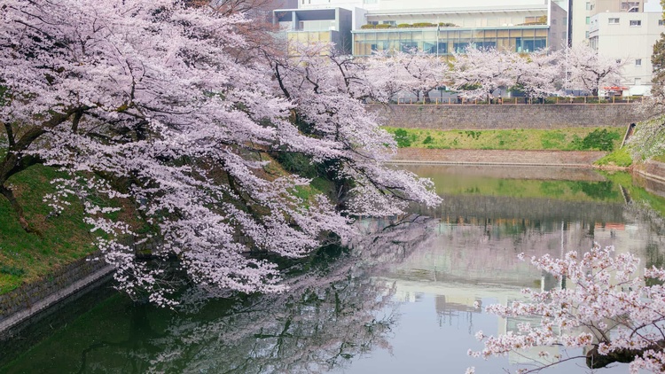 20220330-img_9265-2_sqsh50