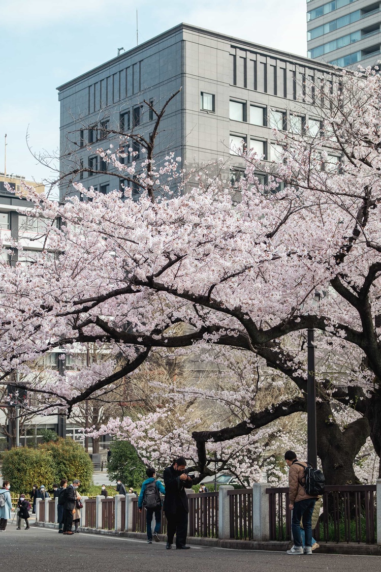 20220330-img_9266_sqsh50