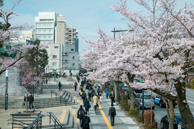 20220330-img_9267_sqsh50