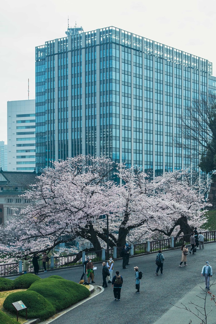 20220330-img_9268_sqsh50