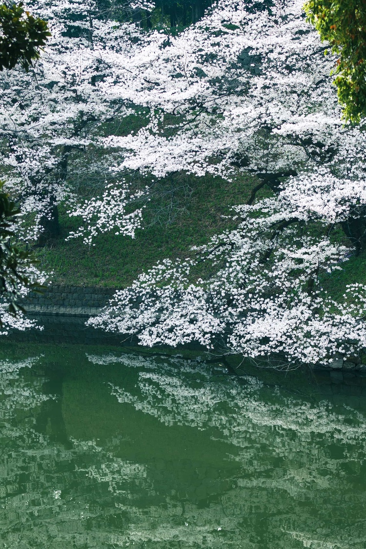 20220330-img_9273_sqsh50