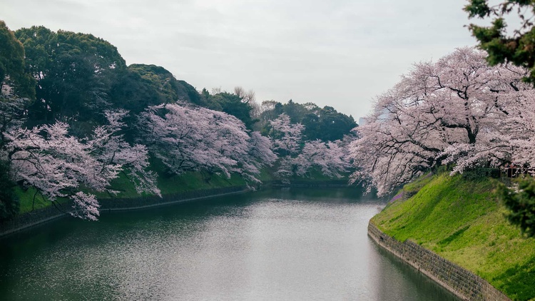 20220330-img_9275_sqsh50