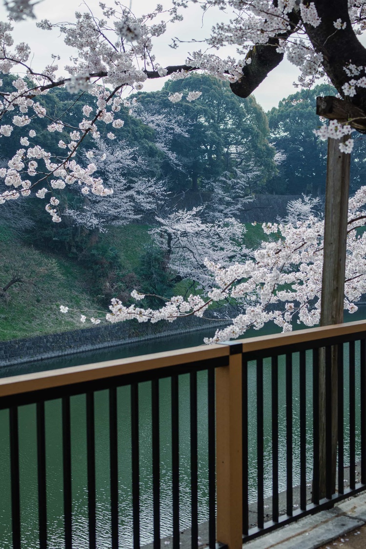 20220330-img_9280_sqsh50