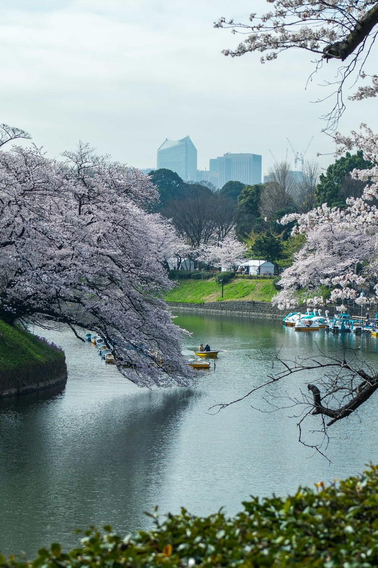 20220330-img_9288_sqsh50