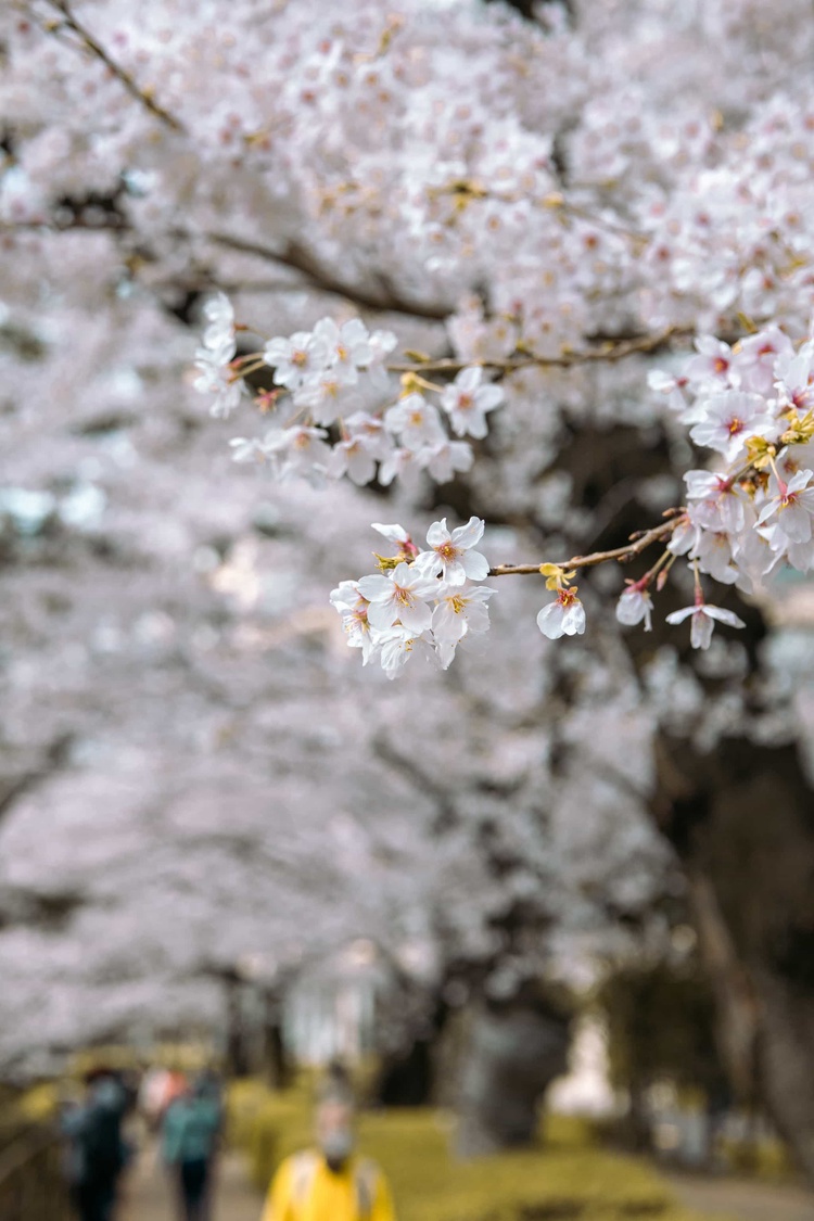 20220330-img_9290_sqsh50