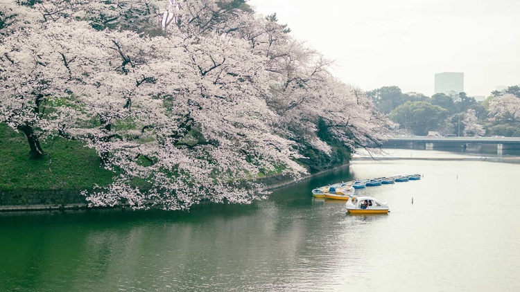 20220330-img_9292_sqsh50