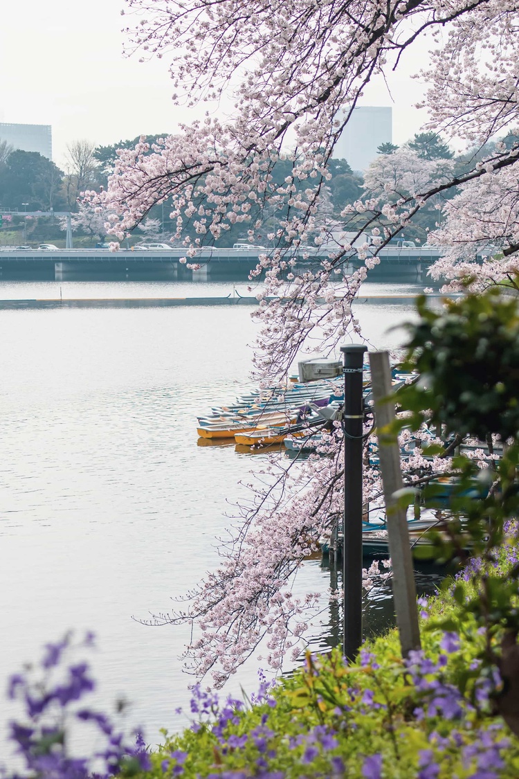 20220330-img_9296_sqsh50