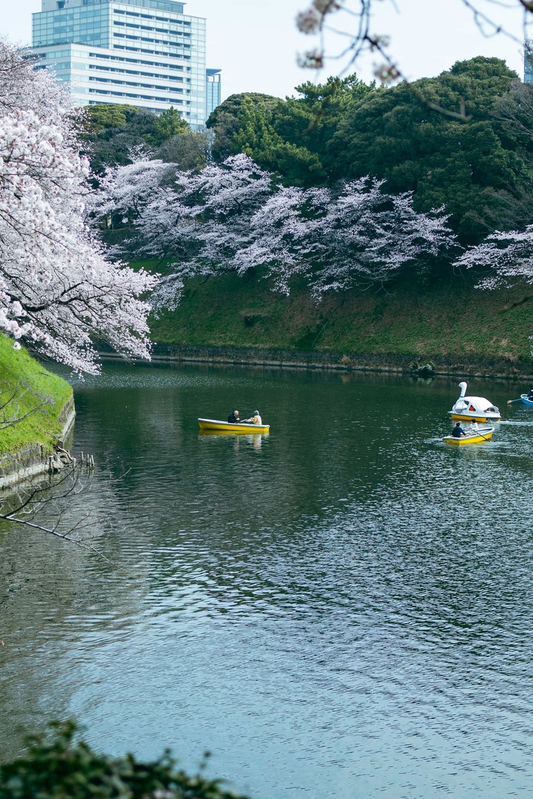 20220330-img_9297_sqsh50