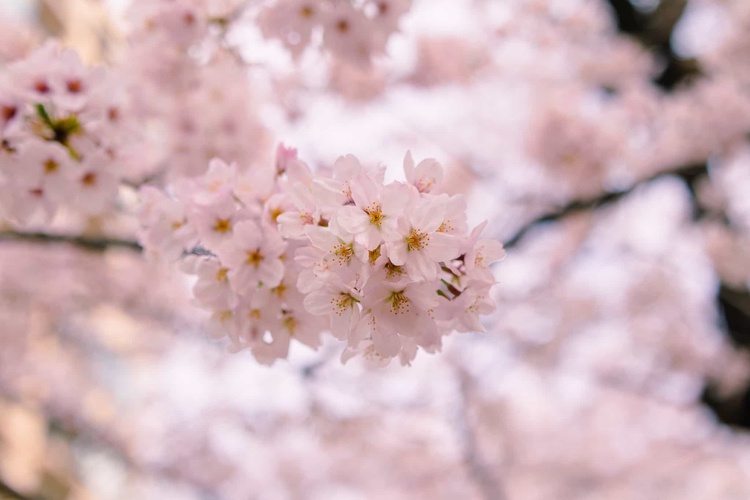 20220330-img_9300_sqsh50