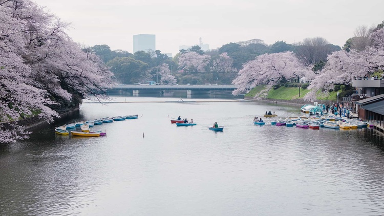 20220330-img_9301-2_sqsh50