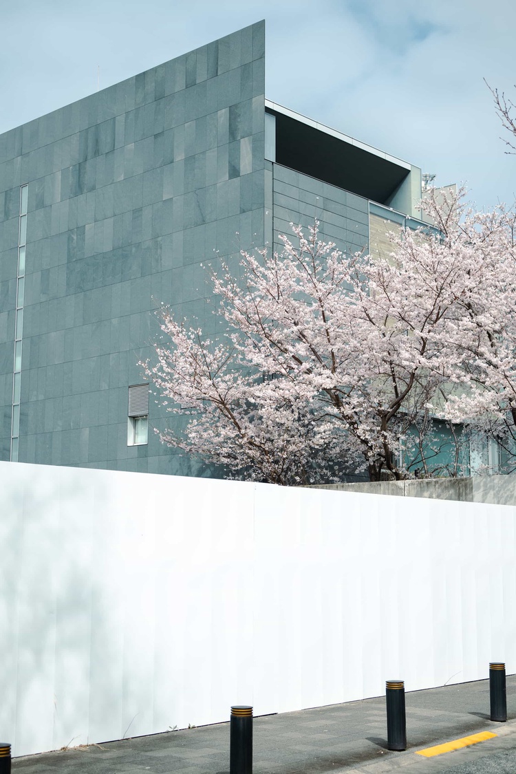 20220330-img_9302_sqsh50