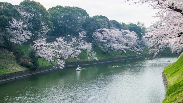 20220330-img_9304_sqsh50