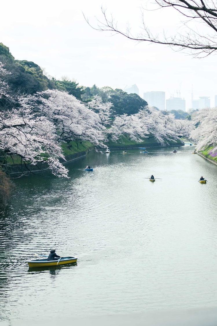 20220330-img_9305_sqsh50