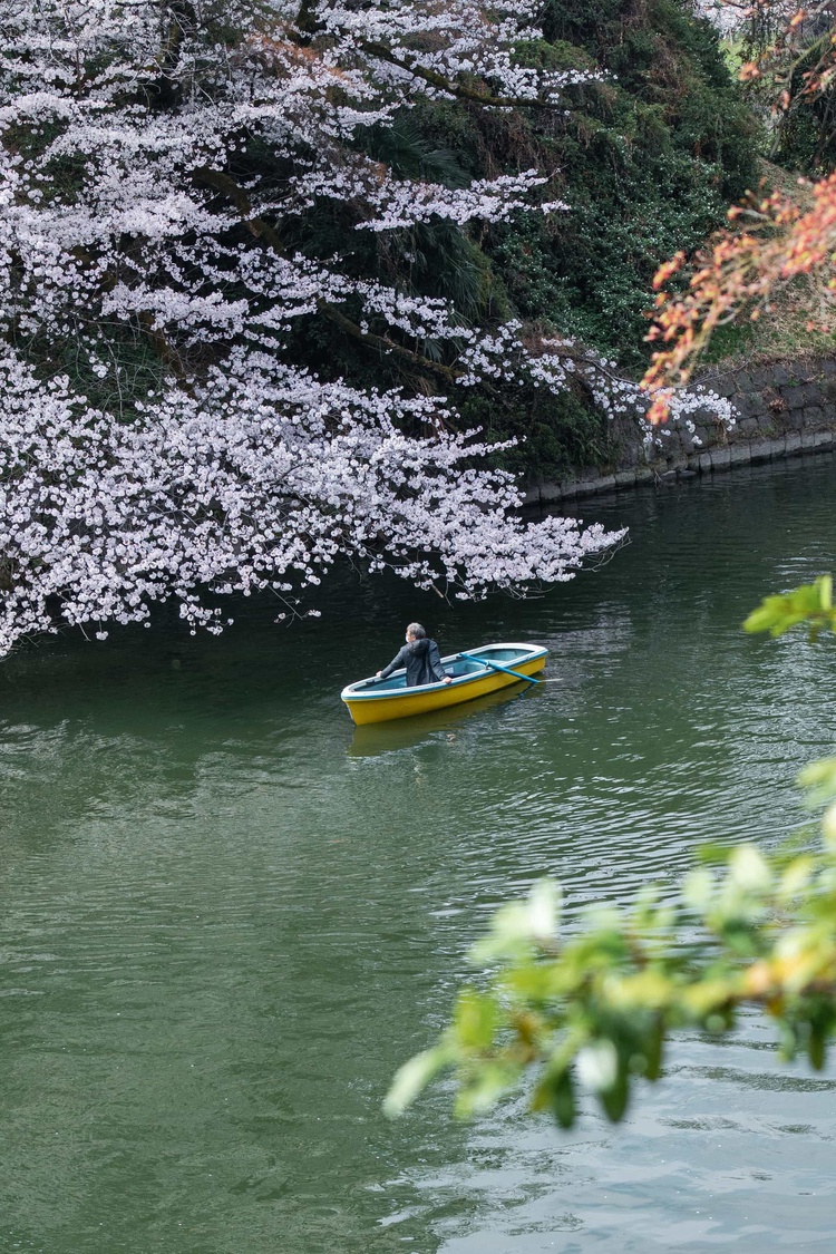 20220330-img_9307_sqsh50