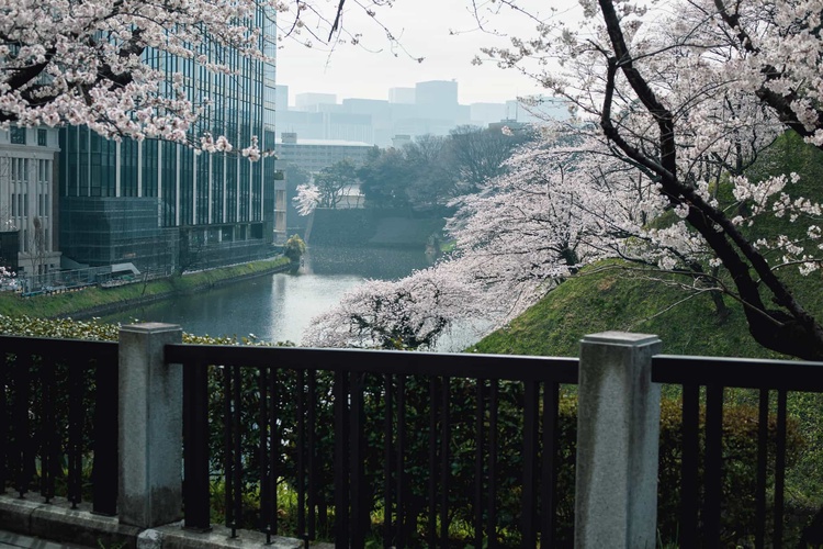 20220330-img_9315_sqsh50