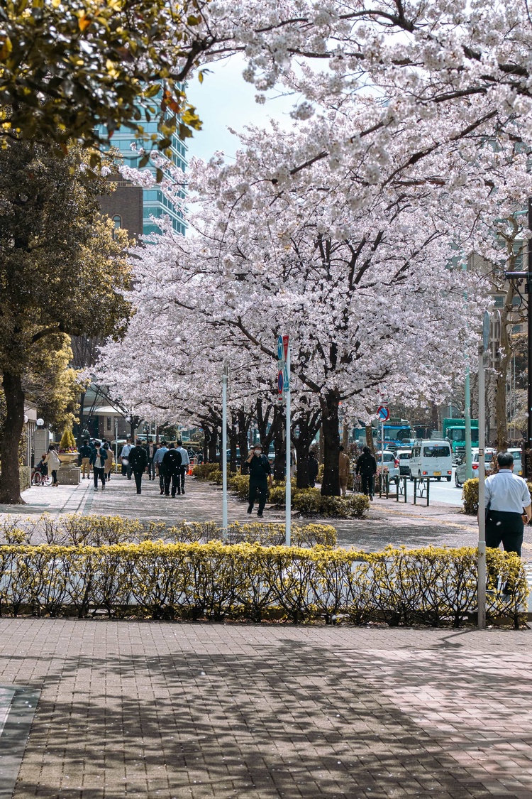 20220330-img_9322_sqsh50