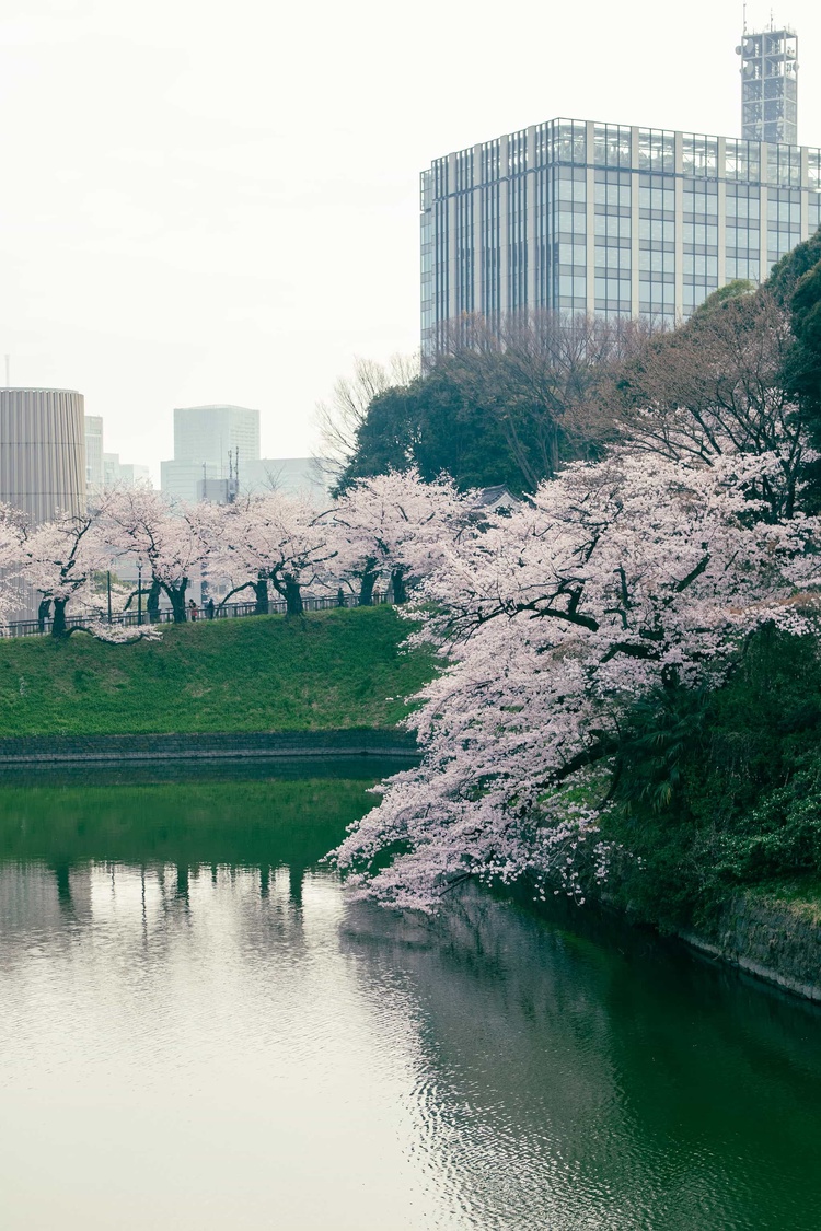 20220330-img_9284_sqsh50