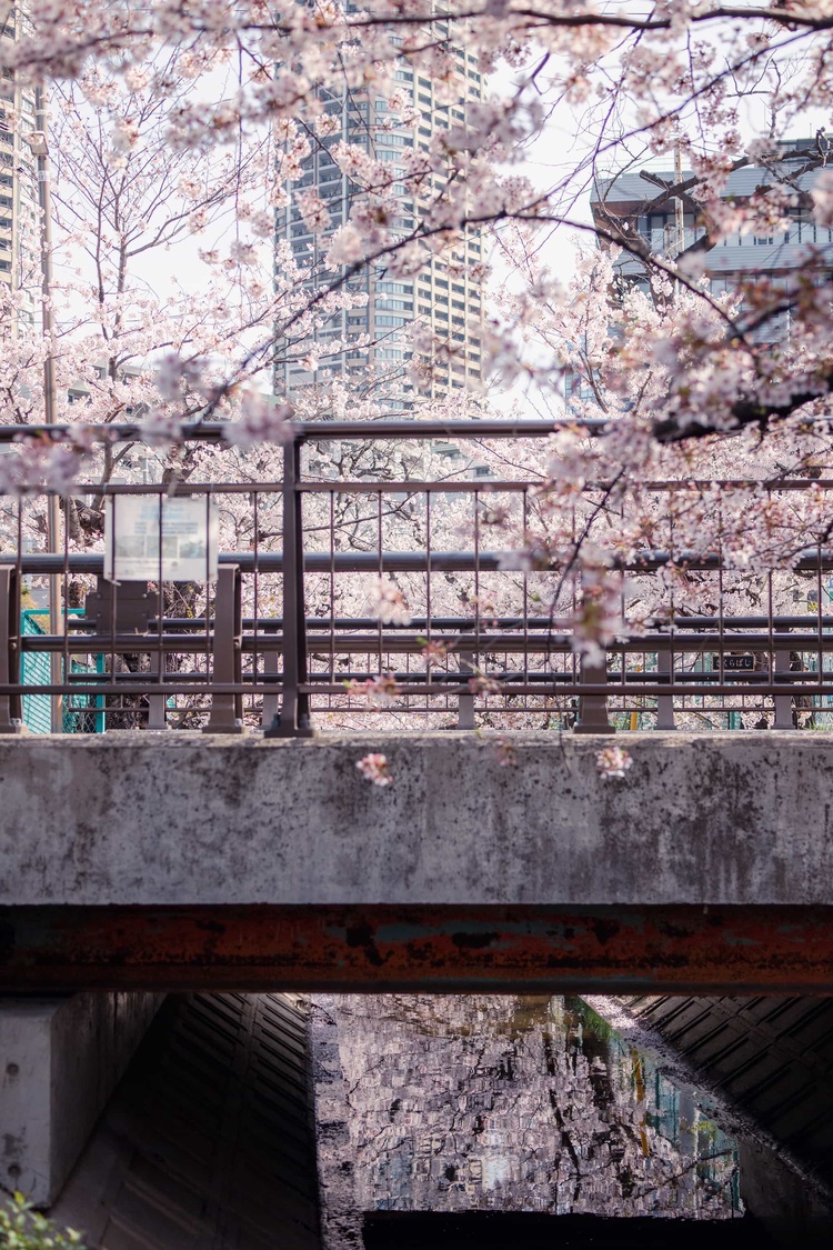 20220331-img_9361_sqsh50