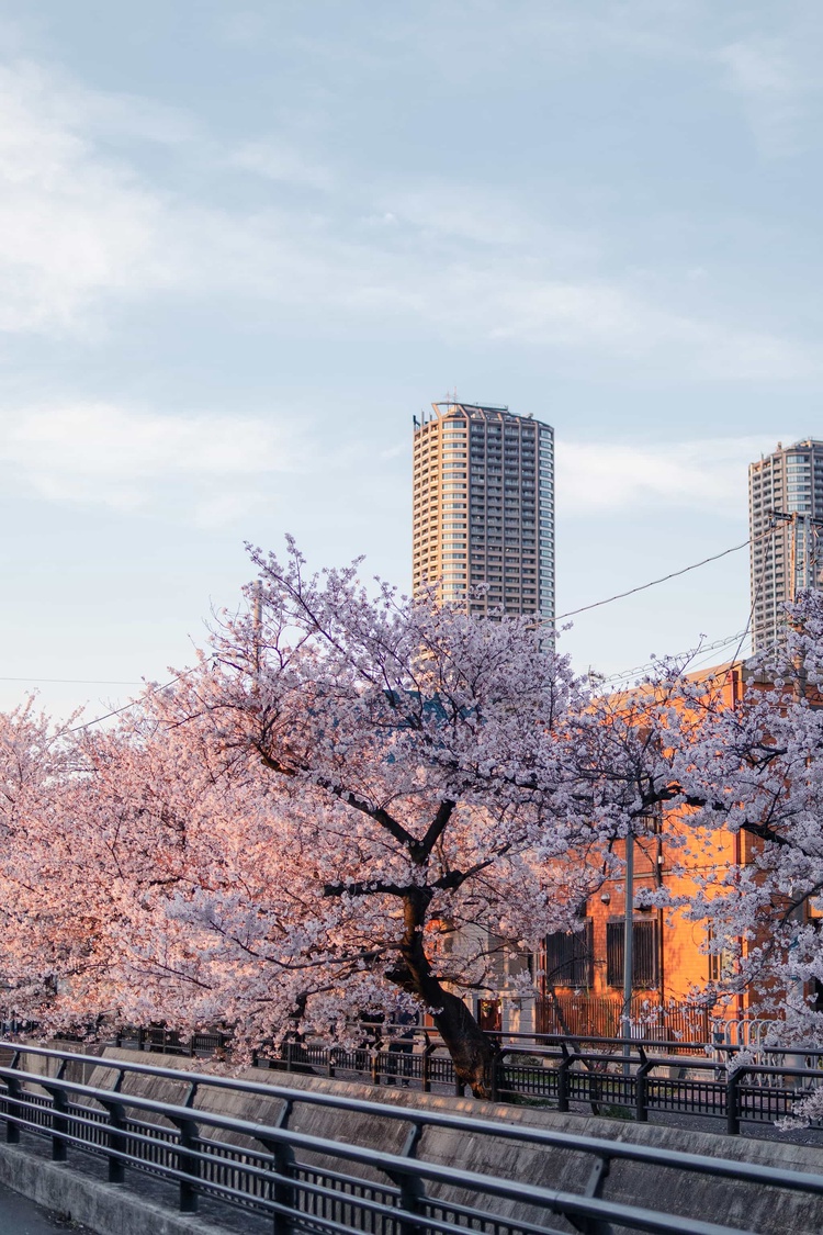 20220401-img_9387_sqsh50