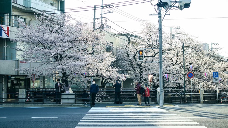 20220328-img_9214_sqsh50