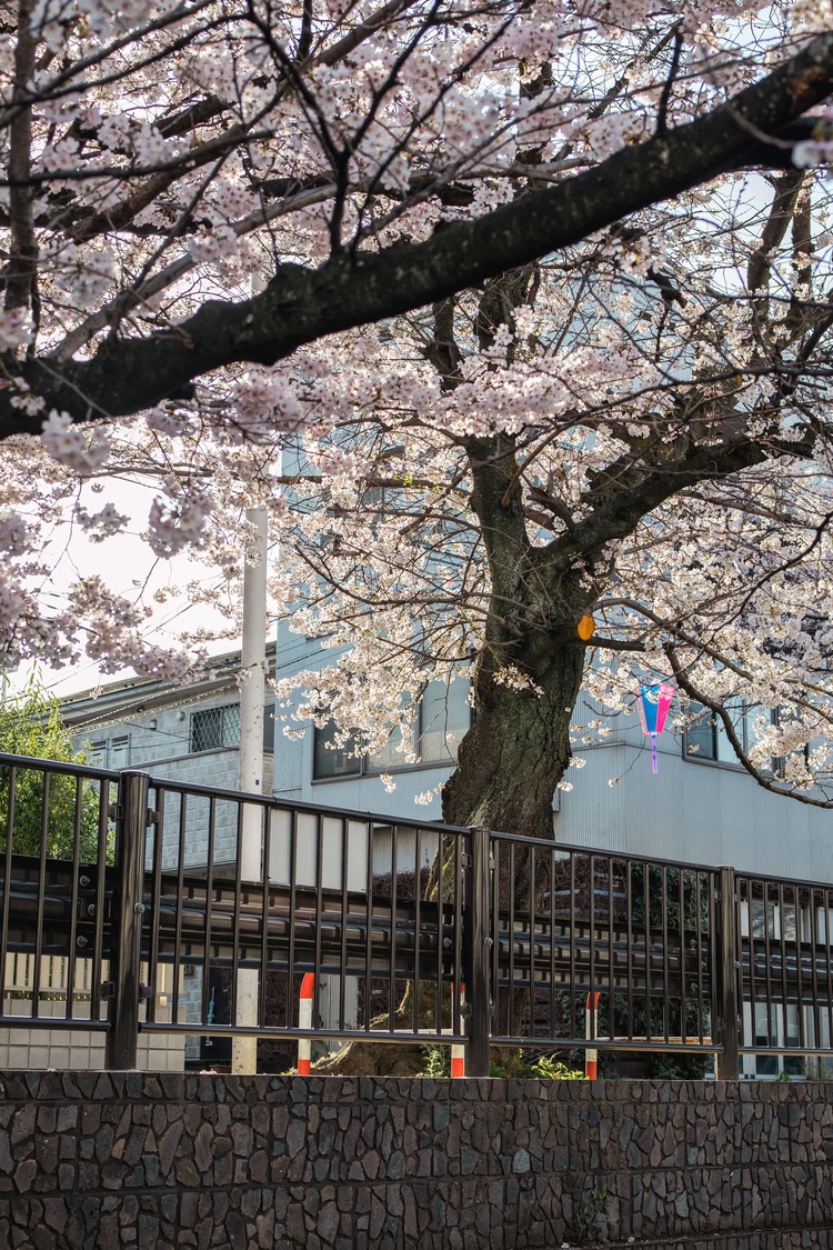 20220328-img_9223_sqsh50