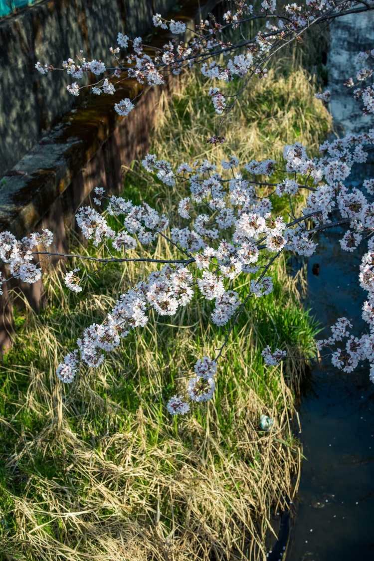 20220328-img_9231_sqsh50