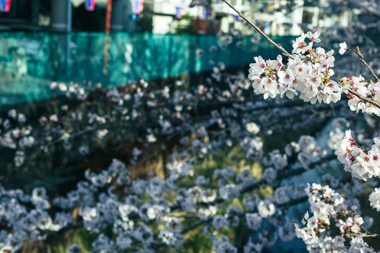 20220328-img_9232_sqsh50