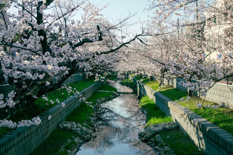 20220328-img_9233_sqsh50