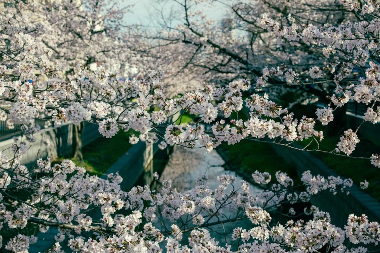 20220328-img_9236_sqsh50