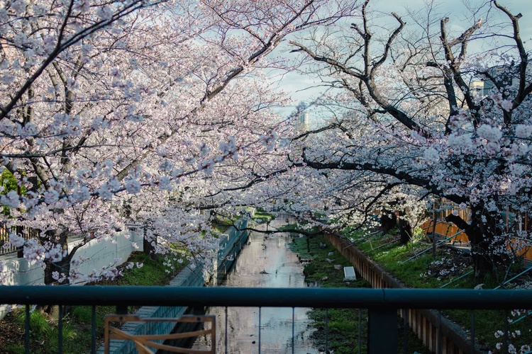 20220328-img_9239_sqsh50