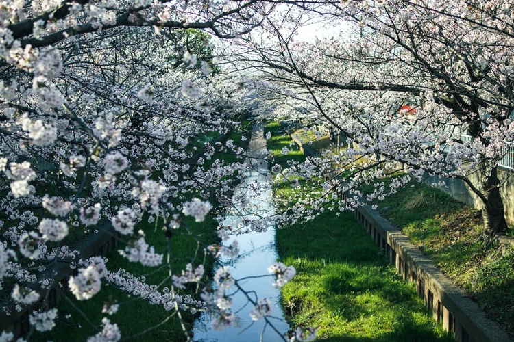 20220328-img_9240_sqsh50