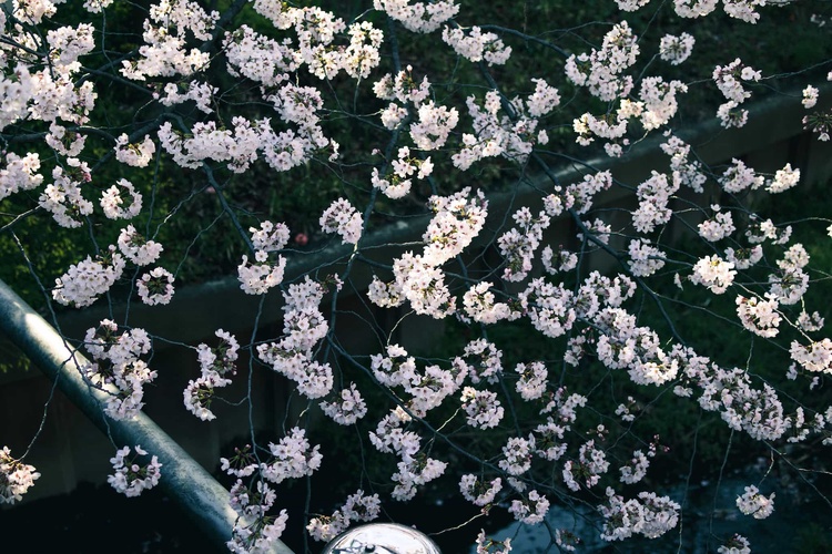 20220328-img_9241_sqsh50