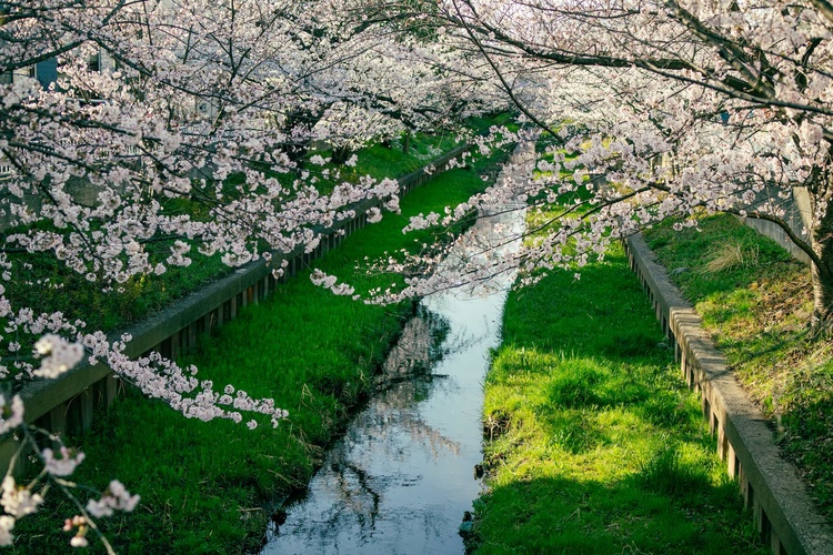 20220328-img_9242_sqsh50