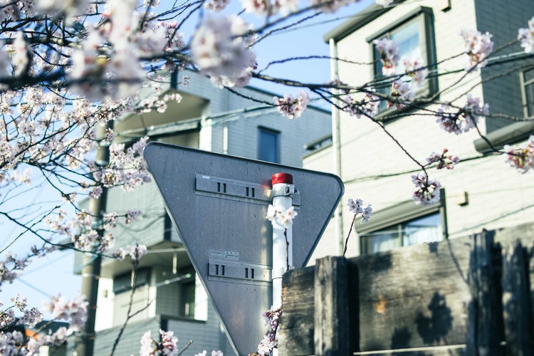 20220328-img_9243_sqsh50