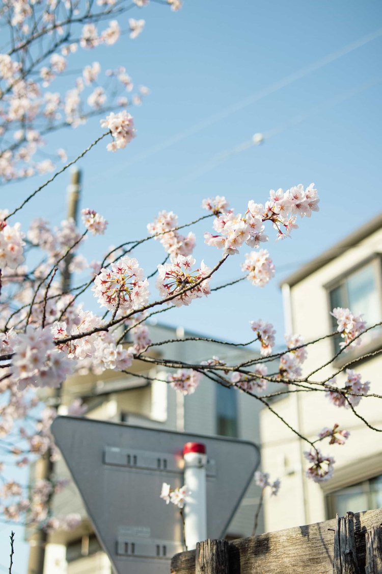 20220328-img_9244_sqsh50