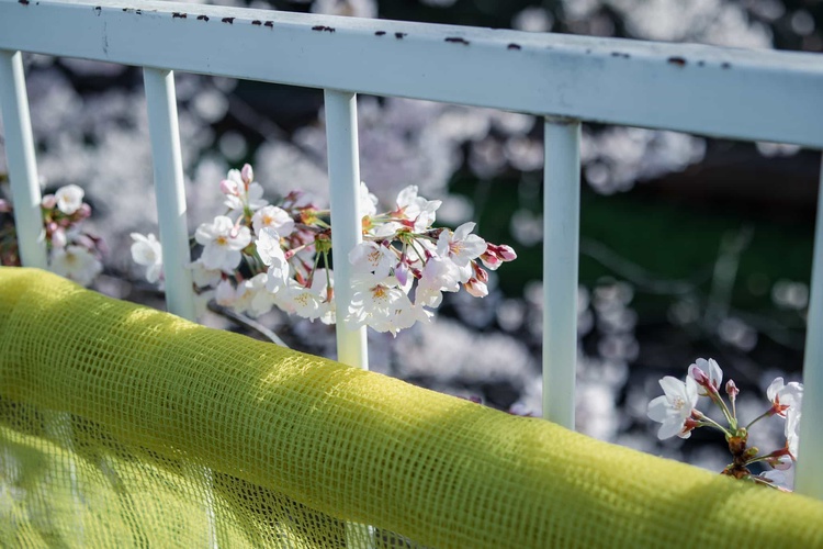 20220328-img_9246_sqsh50